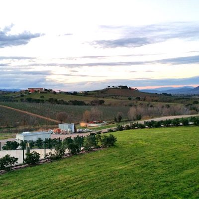 Cantina Val delle Rose S.r.l. società agricola